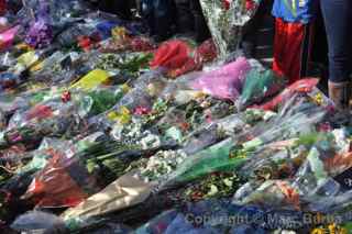 Paul Walker Memorial Meet flowers