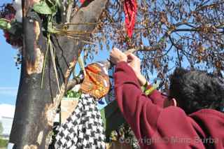 Paul Walker Memorial Meet tree