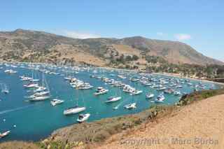 Isthmus Cove Catalina Island.