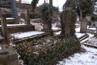 Sighisoara Romania cemetery