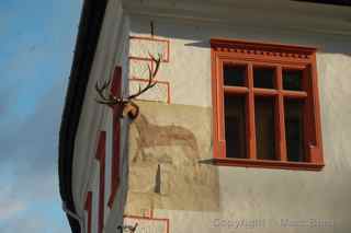 Stag House Sighisoara