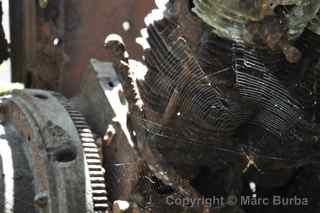 Saipan World War II tank
