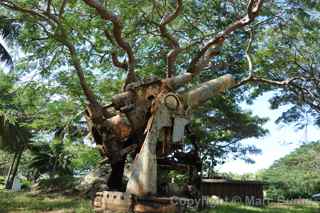Saipan World War II gun