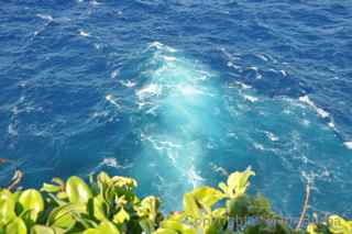 Saipan Banzai Cliff
