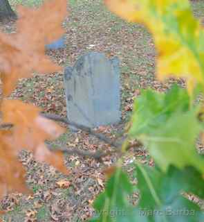 Old Burying Point leaves