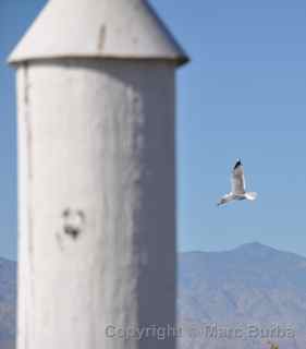 Salton Sea mountains