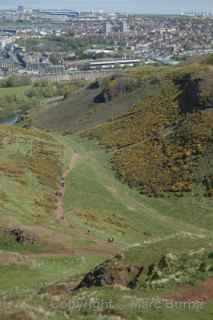 Arthur’s Seat