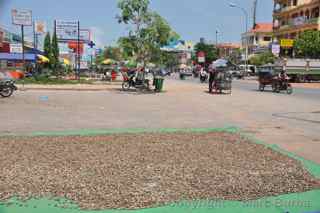 cashew nuts, Siem Reap Cambodia