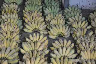 bananas, Siem Reap Cambodia