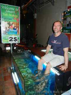 doctor fish, Siem Reap Cambodia