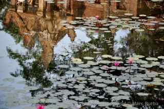Banteay Srei moat