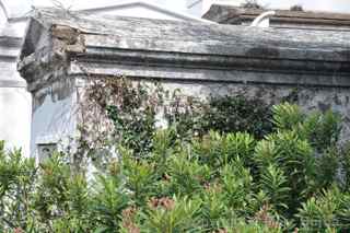 Jewish Cemetery Prague