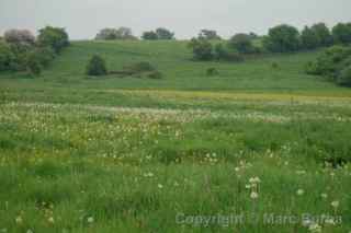 River Avon Trail