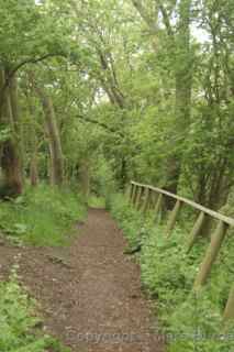 River Avon Trail
