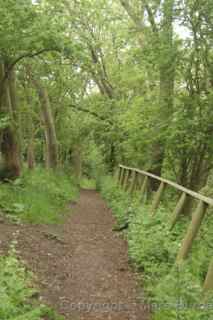 River Avon Trail