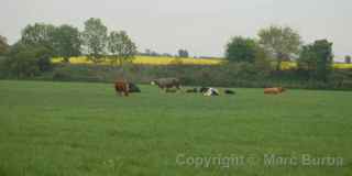 River Avon Trail