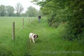 River Avon Trail