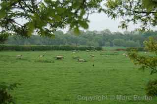 River Avon Trail