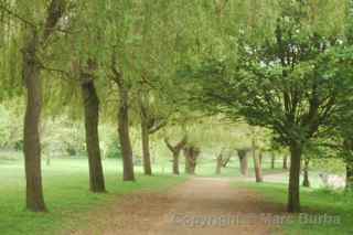 River Avon Trail