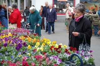 Winterthur, Switzerland market