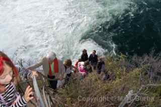 Rhine Falls