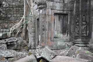 Ta Prohm, Cambodia
