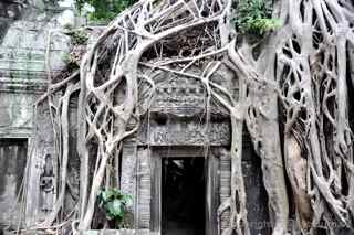 Ta Prohm temple