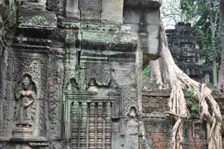 Ta Prohm, Cambodia, carvings
