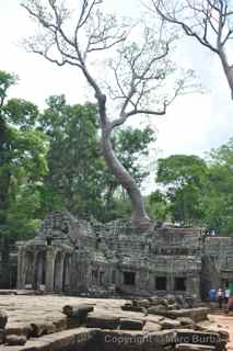 Ta Prohm, Cambodia