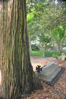 Calvary Churchyard Tarboro