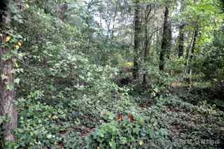 Old County Home Cemetery Tarboro Edgecombe County