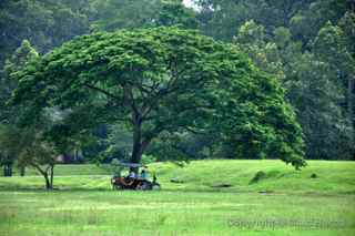 Angkor Thom tuk-tuk