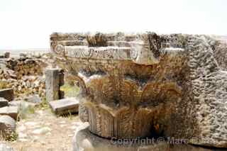 Volubilis roman ruins