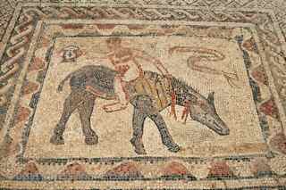 Volubilis mosaic Morocco