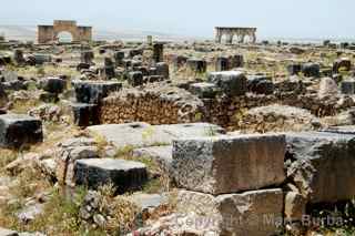 Volubilis roman ruins