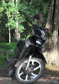 Angkor Wat monkeys and motorbike
